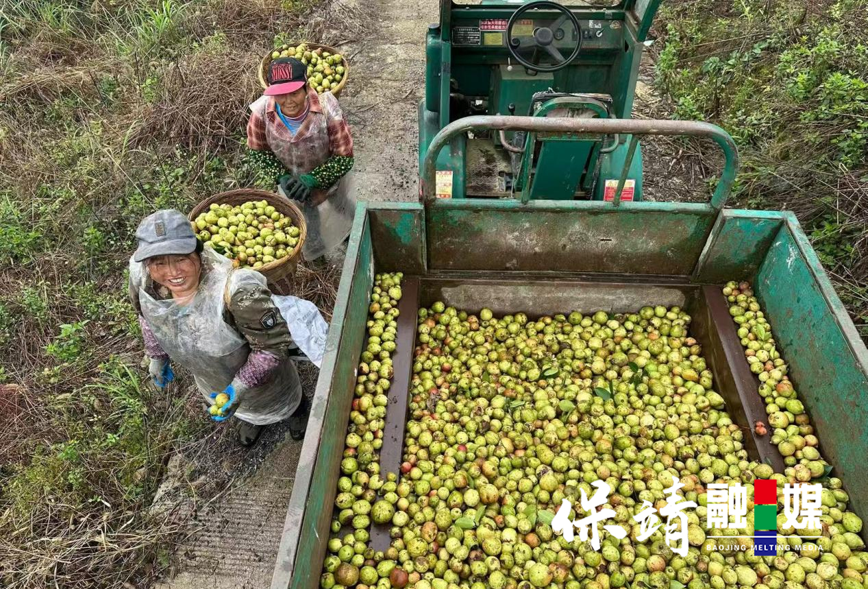 图片2.jpg 图片2.jpg