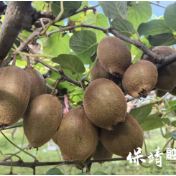 心系民生,暖心入户:迁陵镇开展“为民办实事”活动