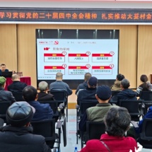 保靖县复兴镇大妥村：深入学习贯彻党的二十届四中全会精神 扎实推进大妥村全面振兴