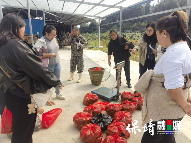 图片3.jpg 图片3.jpg