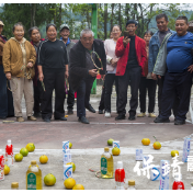 片区共建重阳宴:保靖县普戎镇温暖上演“村庆·百老汇”