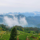 何昌金:杂诗分享