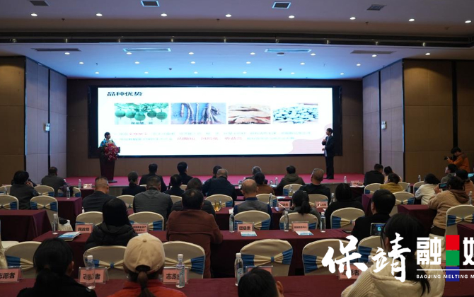 保靖县残疾人创新创业大晒路演活动圆满落幕 自立自强书写创业华章