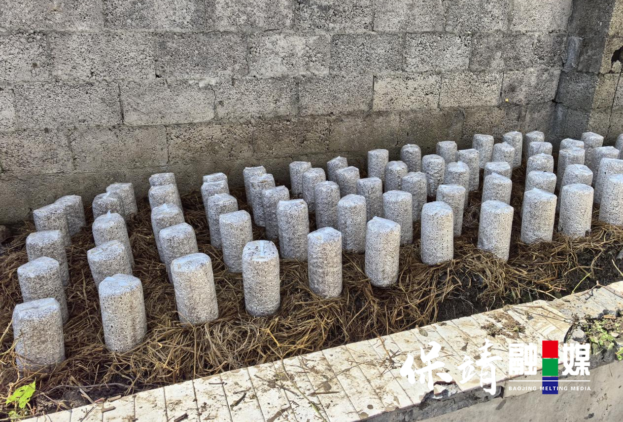 图片3.jpg 图片3.jpg