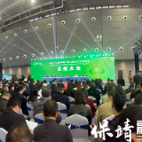 湘西保升农业玉米新产品铺就乡村振兴“黄金路”