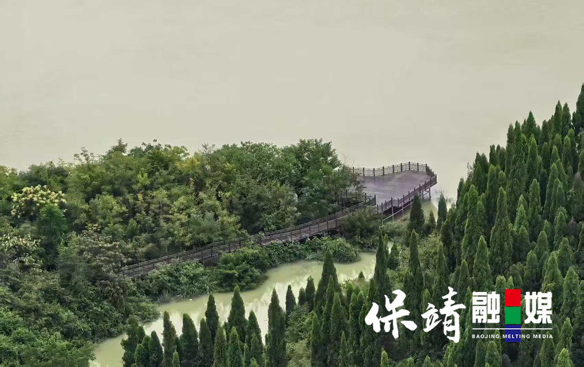 图片3.jpg 图片3.jpg