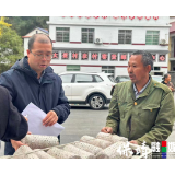 复兴镇大妥村:“卫生评比”激活力“菌棒奖励”兴产业