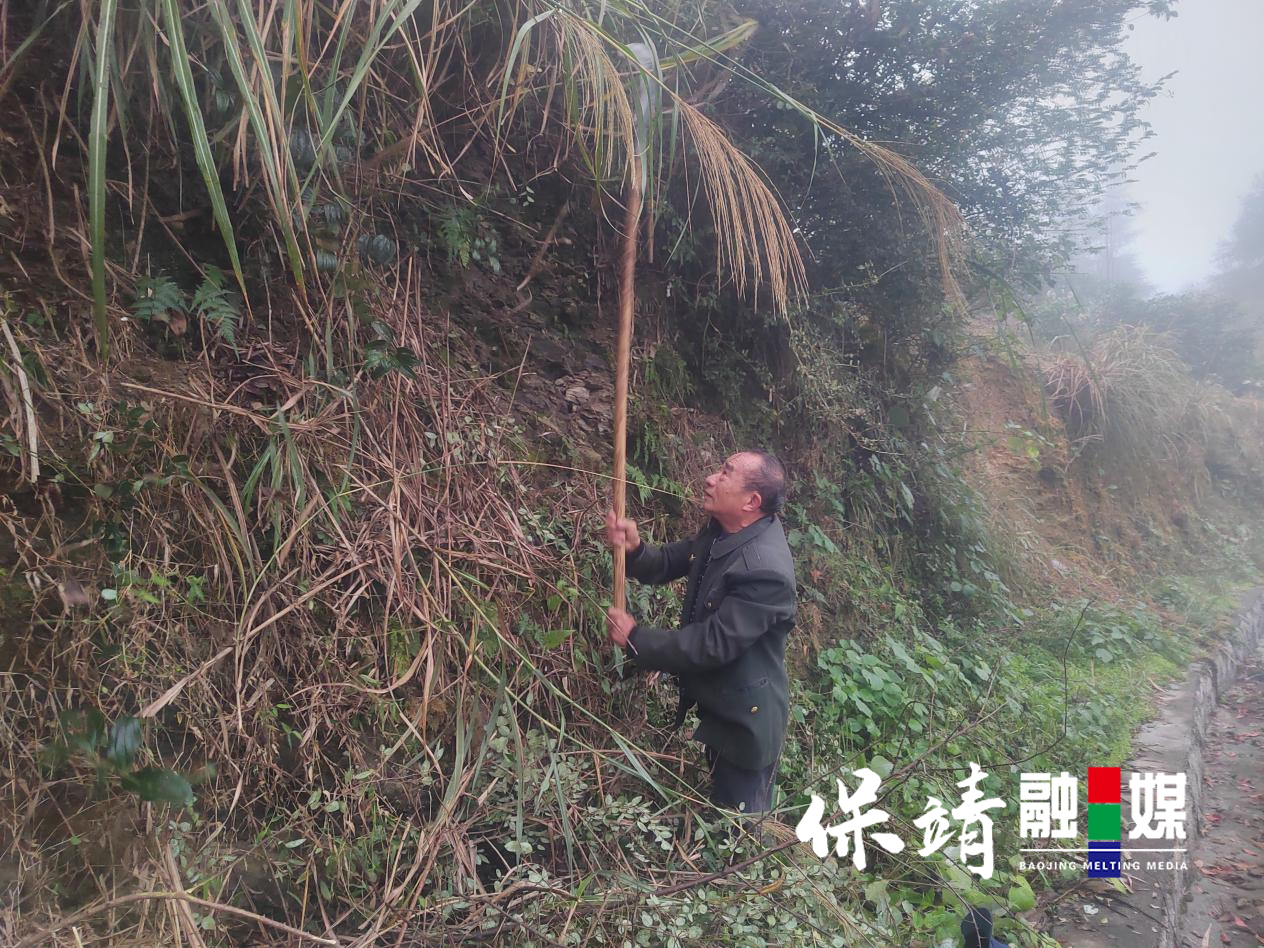 图片2.jpg 图片2.jpg