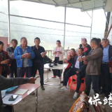 一颗小南瓜,托起残缺身躯与完整尊严——罗通望的“土地逆袭”与乡村共富实验