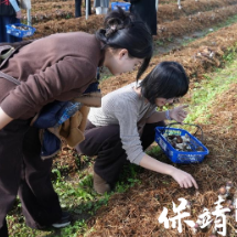 保靖县组织群团开展 “深入基层践初心 服务群众促振兴” 主题党日活动
