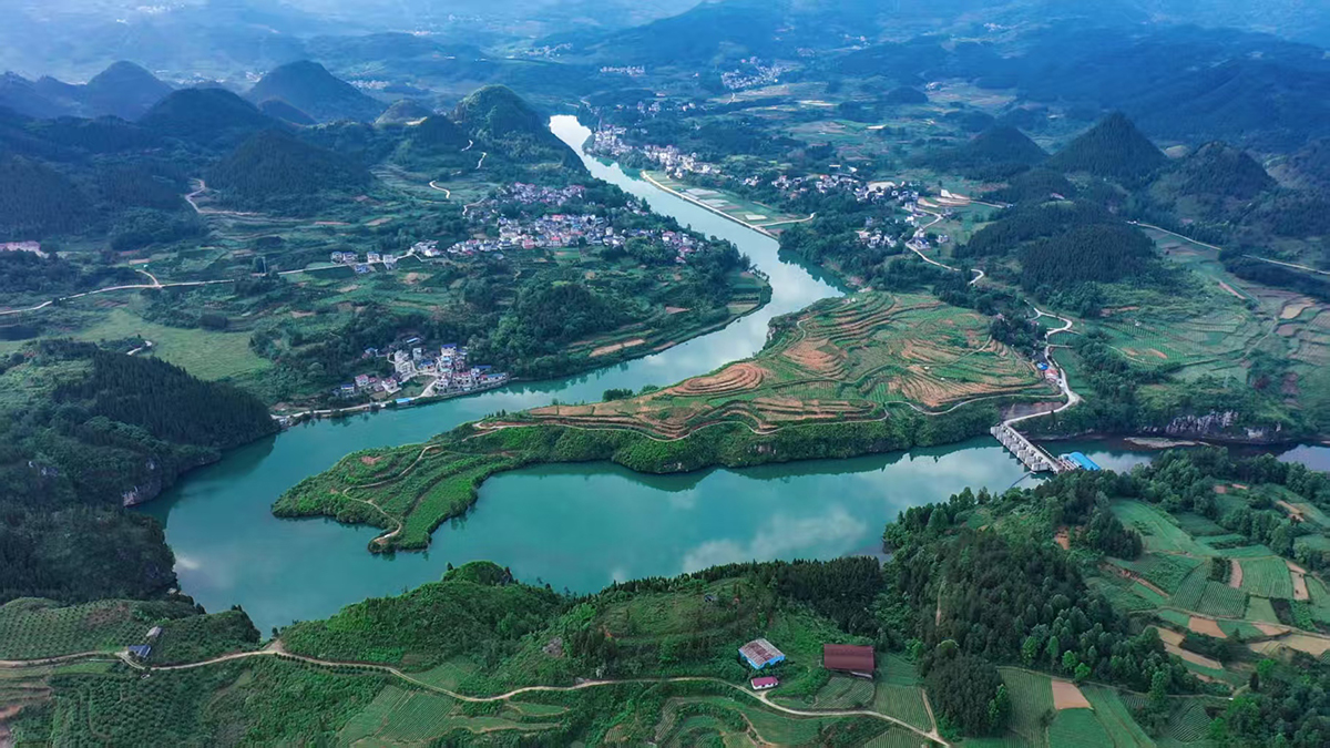 图片1.jpg 图片1.jpg