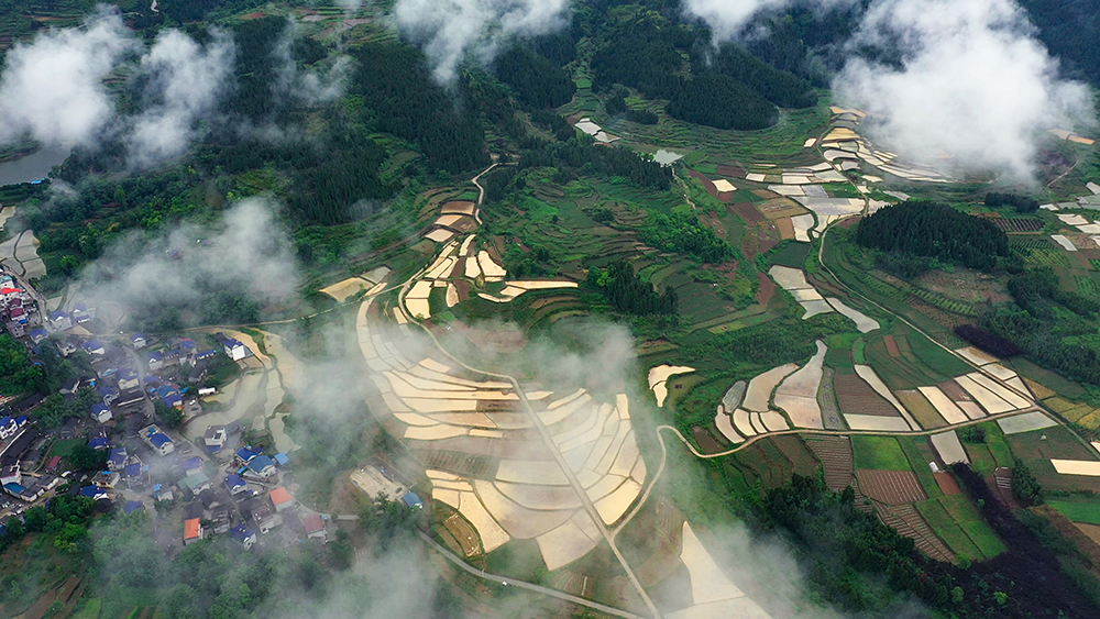 图片1.jpg 图片1.jpg