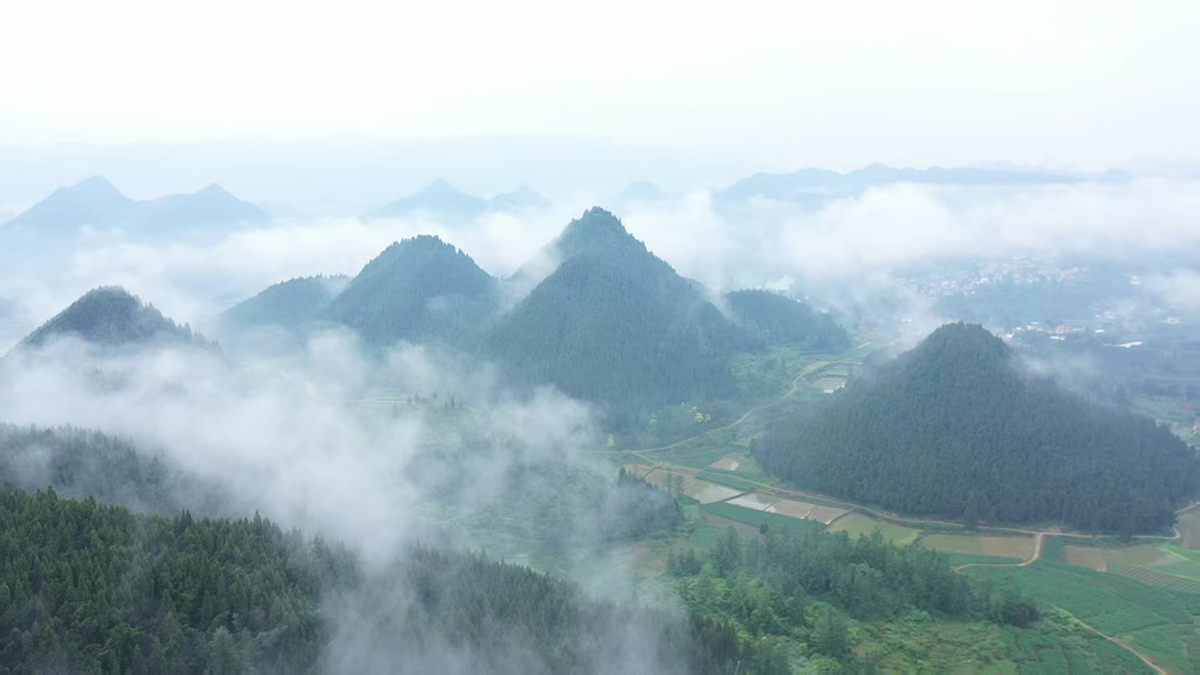 图片4.jpg 图片4.jpg