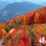 深山藏盛景 红叶引客来——普戎镇块洞村掀起乡村旅游“赏枫潮”