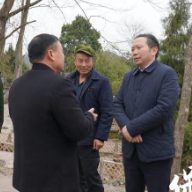 周建武在普戎镇调研时强调:坚持生态立基,传承红色基因,激发乡村全面振兴新动能