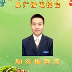 保靖县新媒体“助农推荐官”持证上岗 开启数字助农新篇章