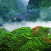 湘西文联诗书联袂展赋韵