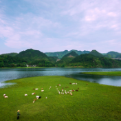 流淌的旋律 不灭的梦想——保靖民中校歌《酉水逐梦》赏析