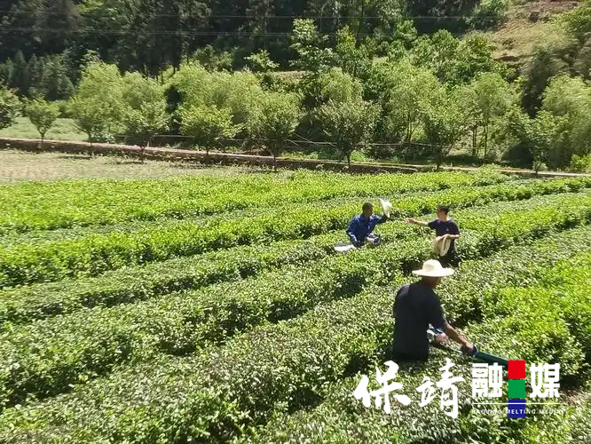 图片1.jpg