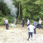 保靖县农业农村局与县森林公安局开展联合执法行动