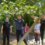 超敏蛋白复合酶实验示范:为作物生长带来新变革