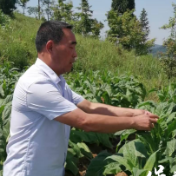 保靖县普戎镇:绽放夕阳之美、让“余热”更“火热”