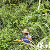 保靖县普戎镇波溪村: 以快制“险”,抢修电线暖民心