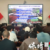 保靖县阳朝乡：产业铺展致富路，特色绘就振兴图