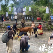 保靖县碗米坡镇：沙湾村“六月六” 古祀锦延续乡愁