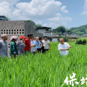 保靖县清水坪镇:多样培训增才干 乡村振兴添动能