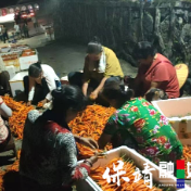 对口帮扶结硕果