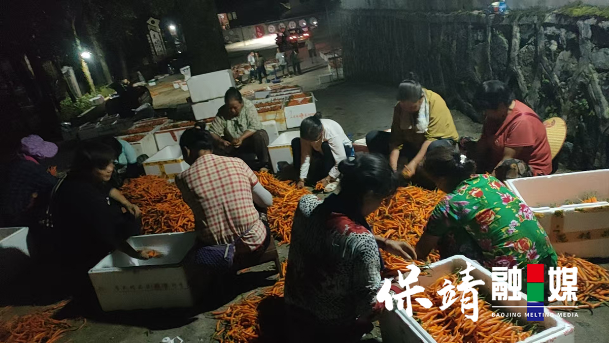 图片3.jpg