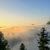 薪火相传守初心——保靖县工商联(总商会)跨越数百年的历史沿革与时代担当