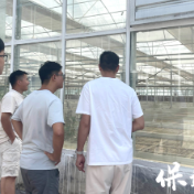 湖南农业大学团队在阳朝乡考察，助力片区产学研发展