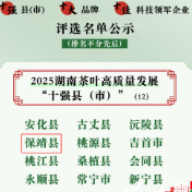 保靖县荣膺2025湖南茶叶高质量发展“十强县”