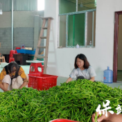 保靖县阳朝乡:“四小园”宣讲,赓续“两山”理念