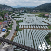 光影映山水 宣讲入人心——拱桥村“电影+宣讲”传递绿色发展理念