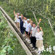 “甜梨子”变成了“金果子”——保靖阳朝乡开展“绿水青山就是金山银山”宣讲活动