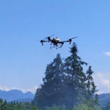 无人机“上岗” 织密柑橘产业科技防护网