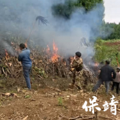 保靖县迁陵镇:开展森林防灭火应急演练 筑牢生态安全“防火墙”