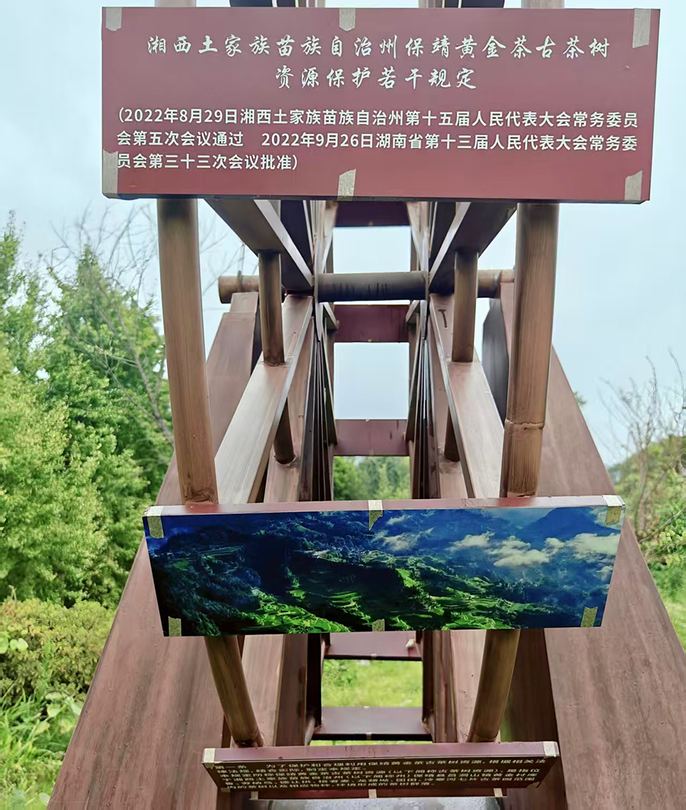 图片8.png