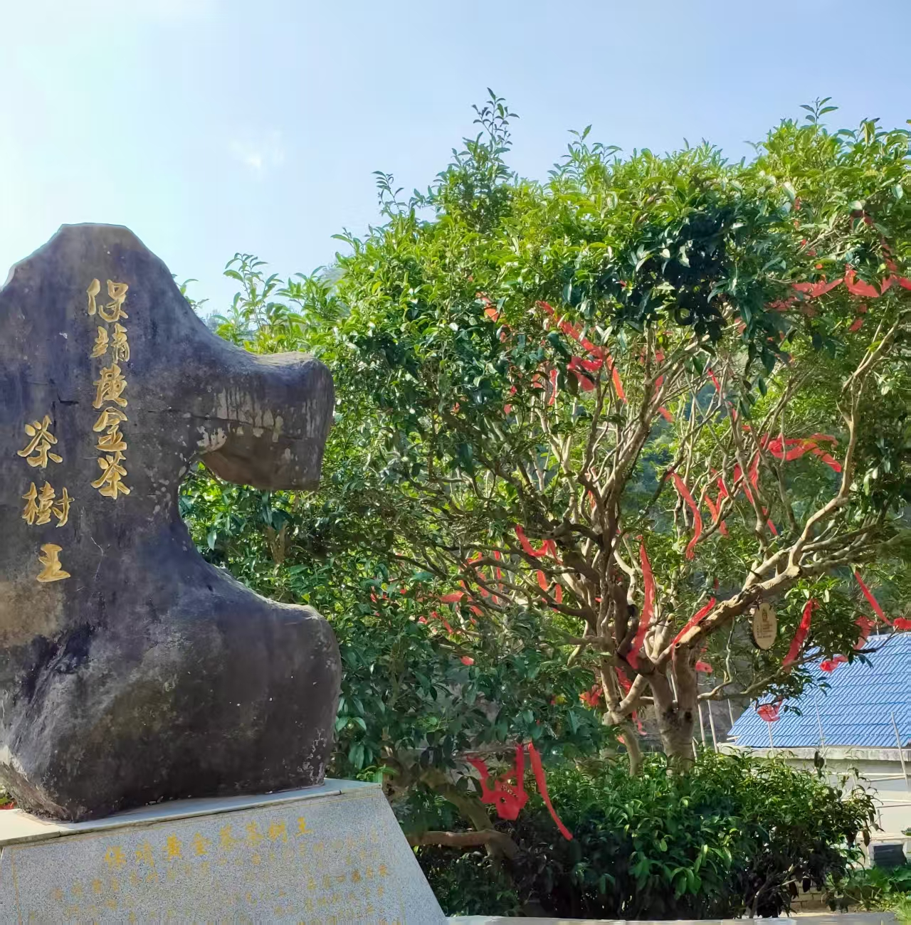 图片10.png