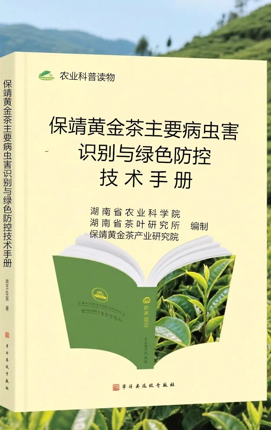 图片12.png