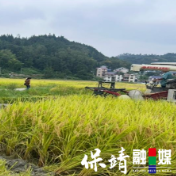 保靖成功举办水稻秸秆还田与油菜机械化直播技术推广观摩暨农机人员培训会