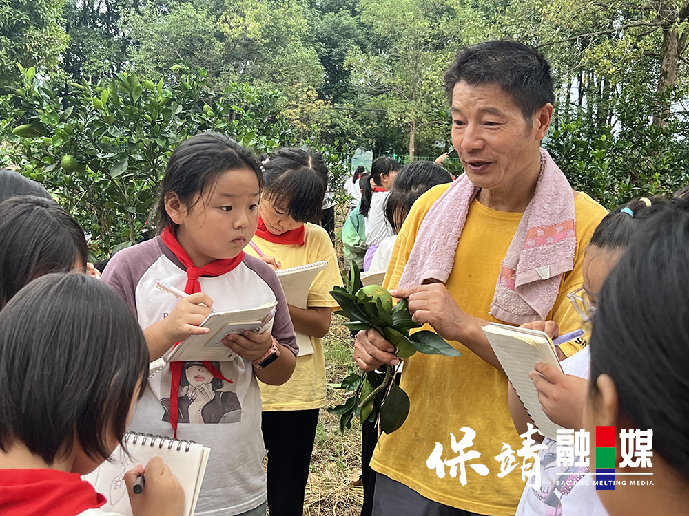 图片4.jpg