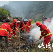以练备战强技能,护林防火筑防线