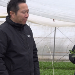 周建武调研春耕备耕工作：全力以赴抓生产、备春耕，千方百计推动农业增效益、农村增活力、农民增收入