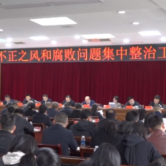 保靖县召开群众身边不正之风和腐败问题集中整治工作推进会
