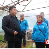 拓宽移民致富路,乡村振兴后劲足——记保靖县移民特色产业领头人黄忠