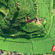 春华秋实耕耘不负  以“创”为先促振兴  ——保靖县吕洞山镇创新创业工作侧记